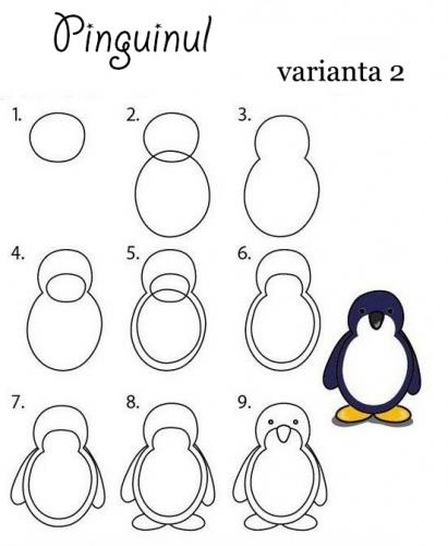 usor-pinguin_2